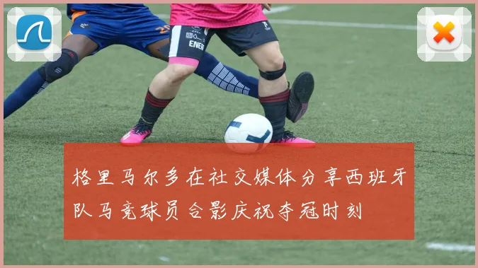 格里马尔多在社交媒体分享西班牙队马竞球员合影庆祝夺冠时刻